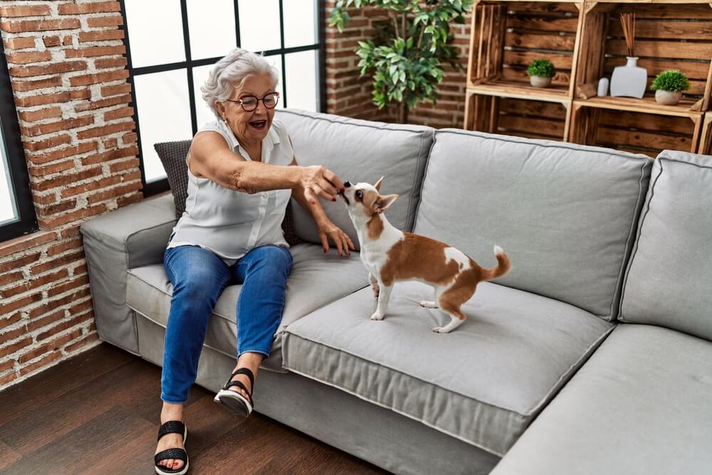 How can accessible home design help seniors who are aging in place?