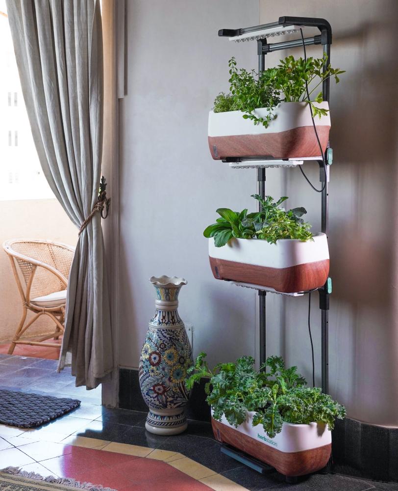 indoor kitchen garden