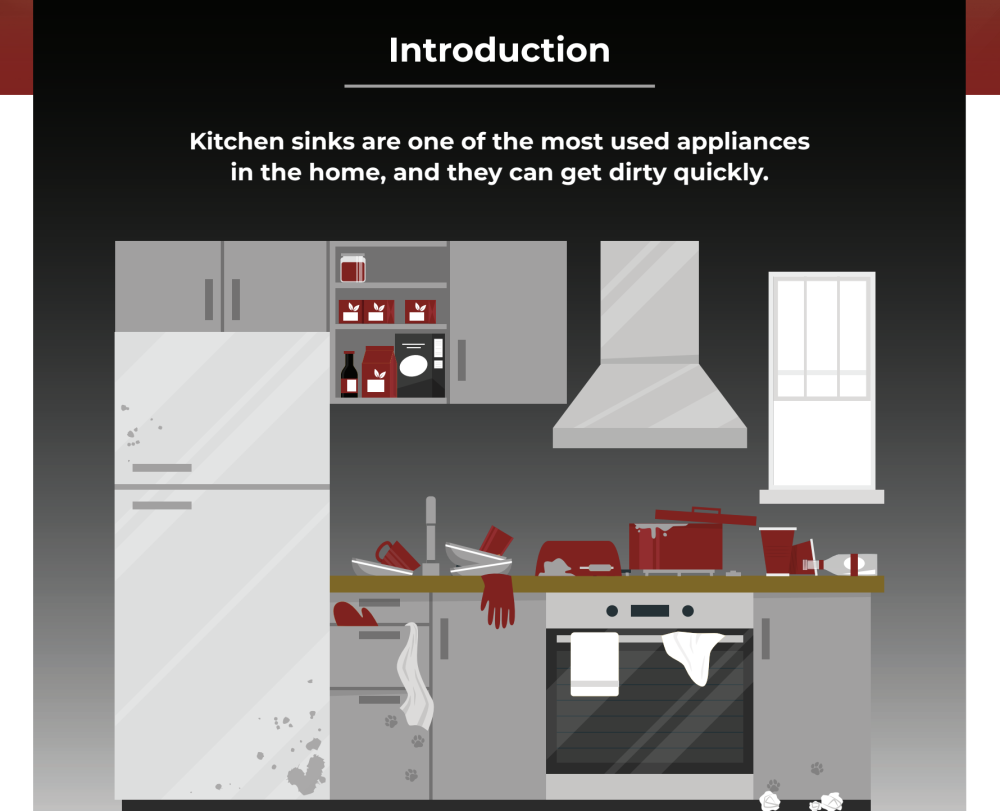 the importance of kitchen sinks
