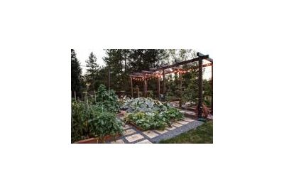 5 Patio Ideas That Increase Your Home's Value